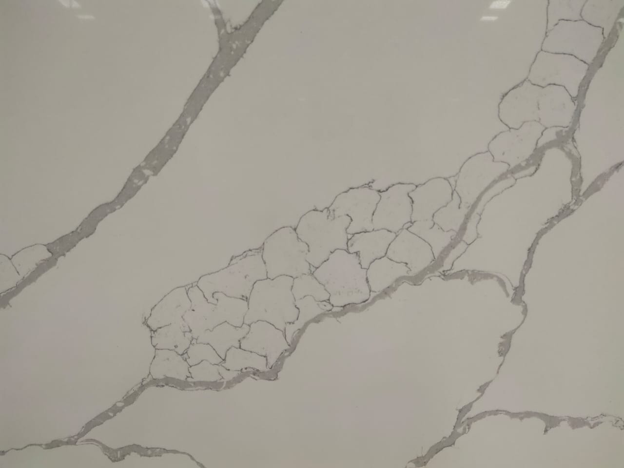 Calacatta Lugano | Surfaces by Pacific | Quartz Kitchen Countertops